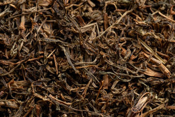 Dried Jimbu (Jimmu, Jamboo, Faran) herb, used extensively in Nepal and in some Himalayan states of India.