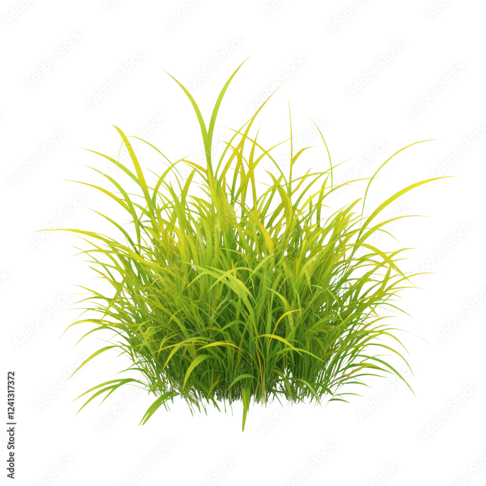 Poster a vibrant clump of green grass is shown isolated against a black background the image is detailed an