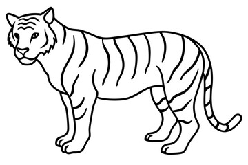 Single Line Tiger Vector Design