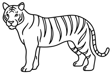 Single Line Tiger Vector Design