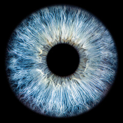 Close up of eye iris on black background, macro, photography 