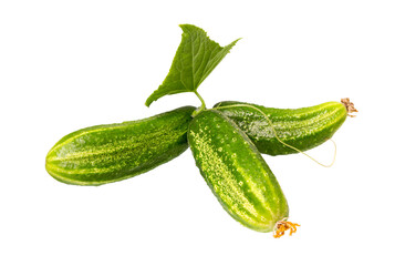 Cucumbers  isolated on white.