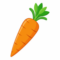 carrot isolated on White