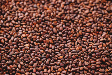 Texture fresh brown pine Cedar nuts in shell as background, Top view