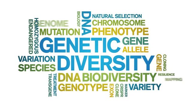Genetic Diversity animated word cloud;text design animation tag kinetic typography seamless loop.