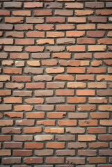 Obraz premium An antique brick wall serves as a textured backdrop.