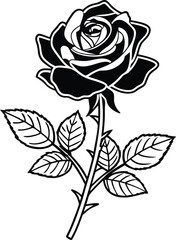 Black and white rose silhouette vector on white background. 