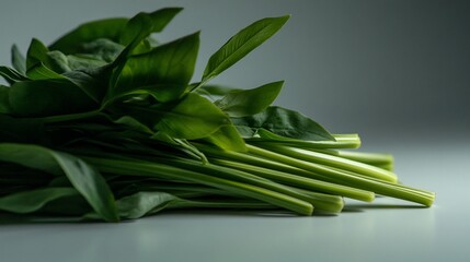 Obraz premium Vibrant Green Ramps: A Culinary Delight