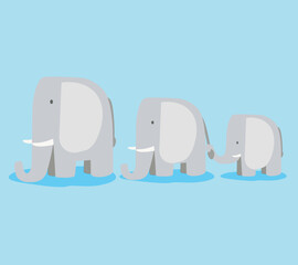 family of elephants cartoon flat vector character african  children book isolated on background illustration