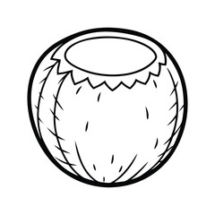 Coconut line art vector illustration.eps