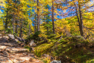 autumnal mountain landscape inside the Alpe Devero, Val D'Ossola, Verbania, Italia