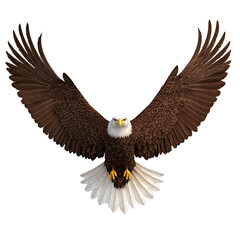 Fototapeta premium Majestic bald eagle in flight, wings spread wide, against black background; wildlife, nature, freedom isolated on transparent or white background. Generative ai
