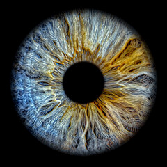 Close up of eye iris on black background, macro, photography 