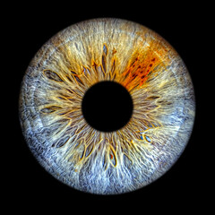 Close up of eye iris on black background, macro, photography 