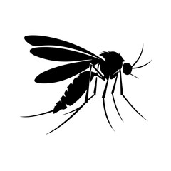 mosquito isolated on white background