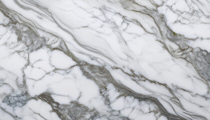 Obraz premium for history and design white marble texture with herbal patterned structure