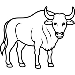 Buffalo Outline Minimalist Vector Art