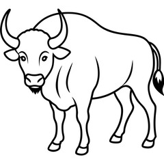 Buffalo Outline Minimalist Vector Art