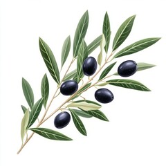 Ripe olives on a branch with lush green leaves.