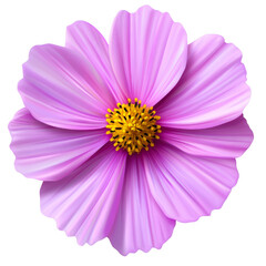 Obraz premium PNG Beautiful Pink Flower with Yellow Center, transparent background