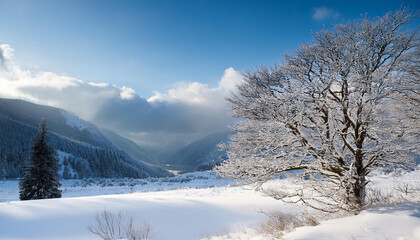 Fototapeta premium a snowy landscape with a tree within the foreground