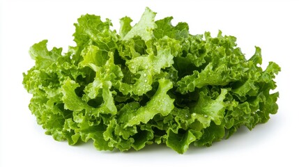 Fresh Crisp Green Romaine Lettuce Leaves on White Background