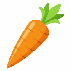 Carrot isolated white