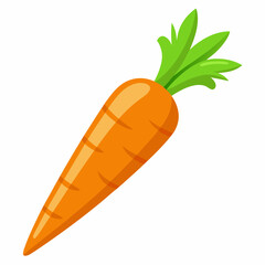 Carrot isolated white