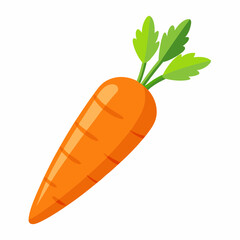 Carrot isolated white