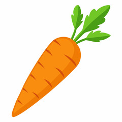 Carrot isolated white