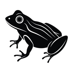 frog on white background vector illustration