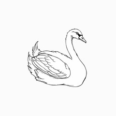 A line art of a duck which is vector. 