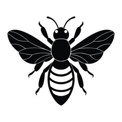 bee on white background