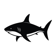 shark vector illustration