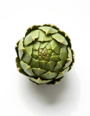 Fototapeta premium artichokes on a white background