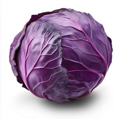 Obraz premium Chinese cabbage isolated on a white background showcasing its vibrant colors and distinctive leaf structure