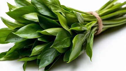 Fresh Ramson Bunch, Wild Garlic, Green Leaves, Healthy Food