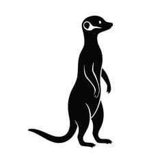 Meerkat