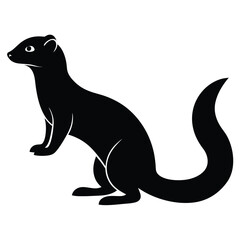 Ferret vector illustration
