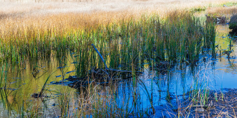 creative shots of an autumnal mountain landscape inside the Alpe Devero, Val D'Ossola, Verbania, Italia	