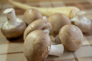 brown button mushroom close up macro photo