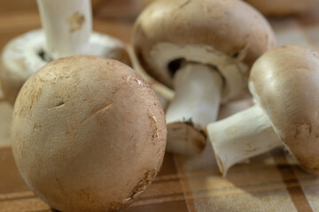 brown button mushrooms close up macro photo