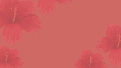red hibiscus flower, red background, color backdrop