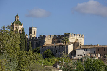 Fototapeta premium Santes Creus cistercian abbey, Aiguamurcia, Catalonia, Spain