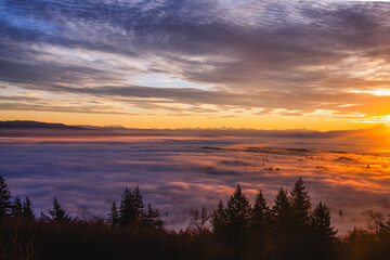 Rays of sunlight casting golden glow over Fraser Valley, BC, dawn cloud inversion, with alpine mountains visible in silhouette on far horizon.