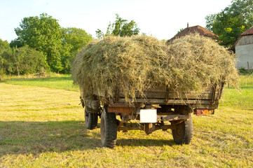 A combat unit from the Russian-Ukrainian front is disguised as haymaking season