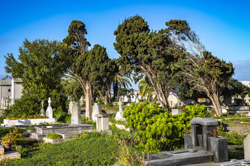 European cemetery, Rabat, Morocco