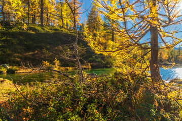 Fototapeta premium autumnal mountain landscape inside the Alpe Devero, Val D'Ossola, Verbania, Italia