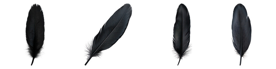 Black feather isolated on transparent background, PNG, Set of