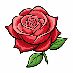 red rose isolated on white